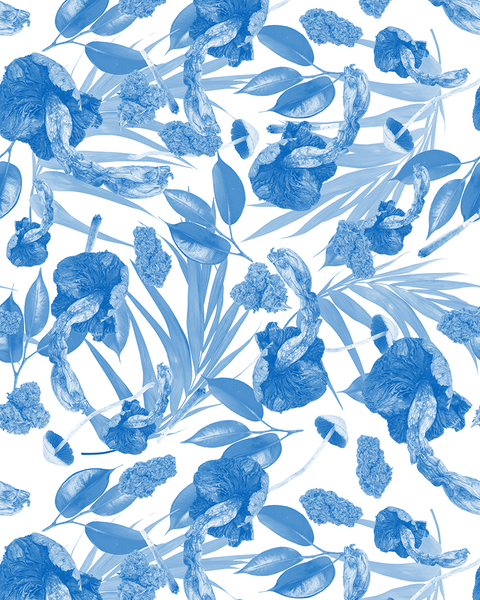 Natural Remedies - Wallpaper - Blue / White